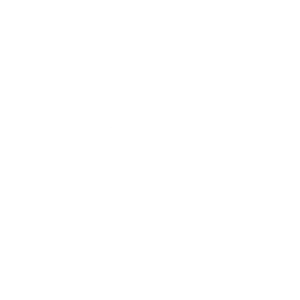 Expert Insights icon